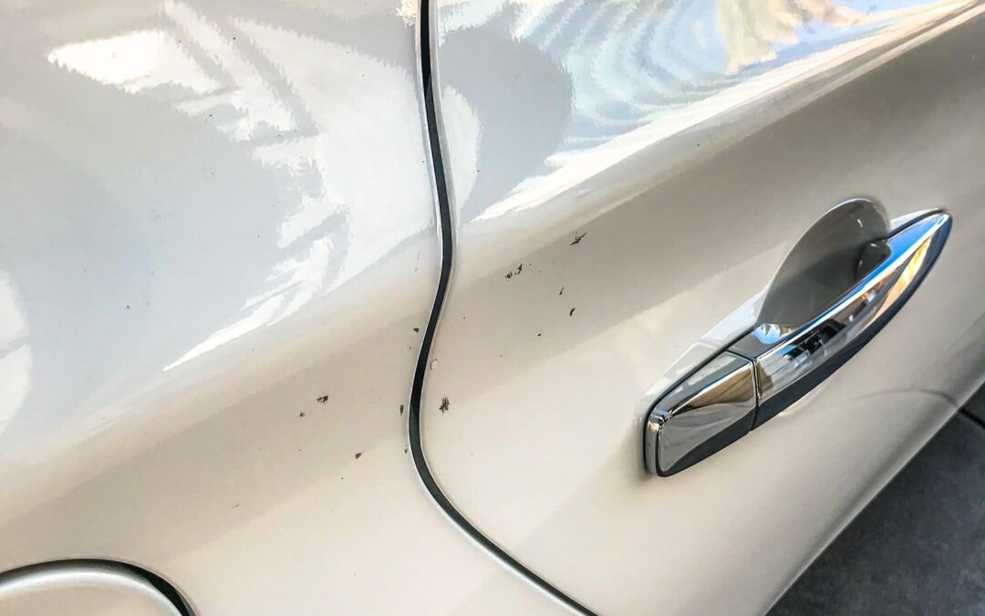 Why Paintless Dent Repair Is the Best Choice for Minor Dents & Dings at Grimes Paint & Body in Forney, TX
